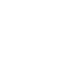 Git Logo