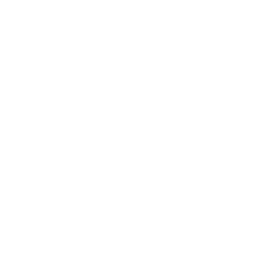 HTML5 Logo